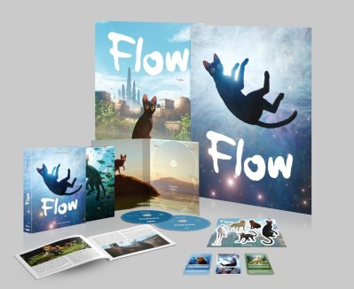 Flow Limited Edition 4K