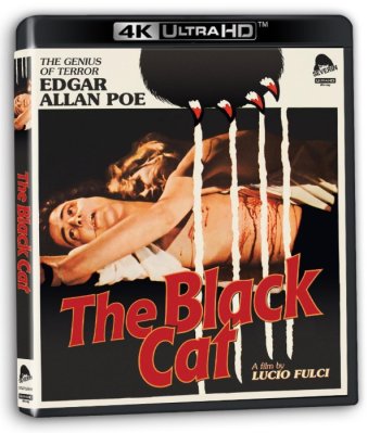 The Black Cat 4K