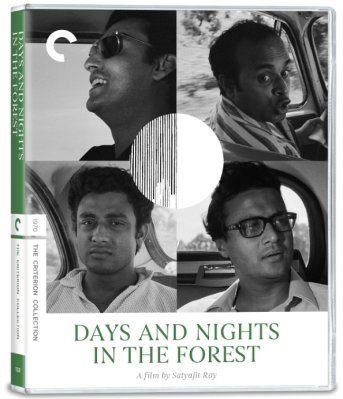 Days And Nights In The Forest 4K