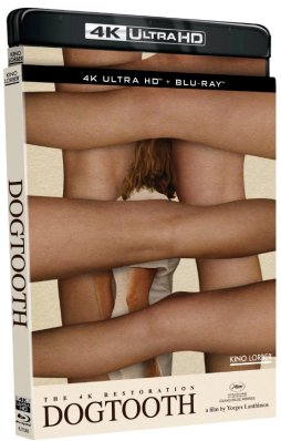 Dogtooth 4K (slipcover)