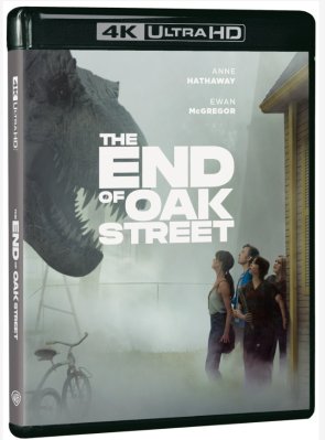 End of Oak Street 4K