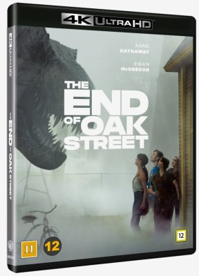 End of Oak Street 4K
