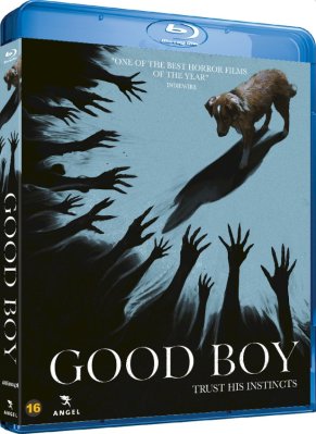 Good Boy (2025) Blu ray