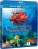 Fascination Coral Reef: Hunters and the Hunted 3D + 2D Blu Ray